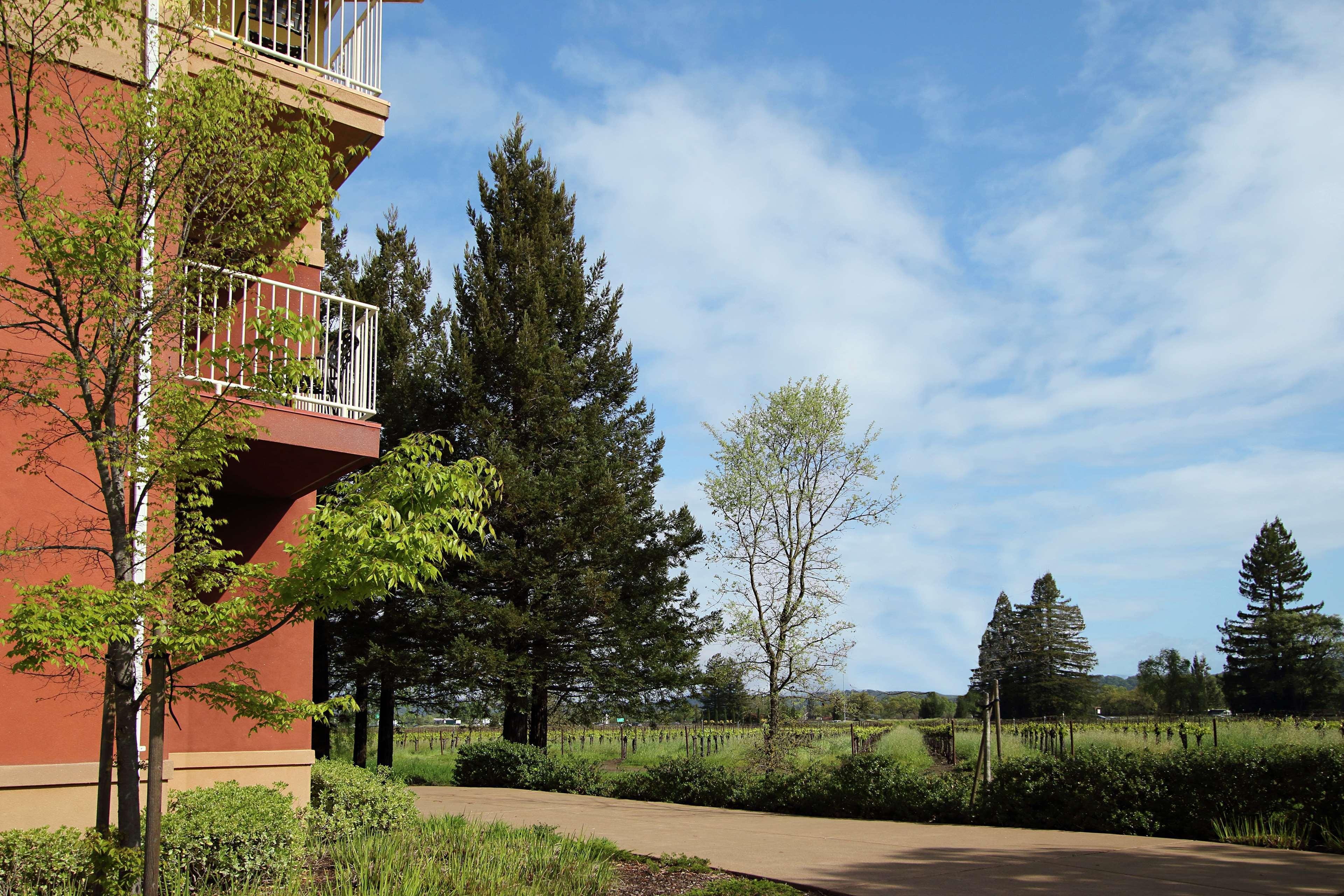 Hilton Garden Inn Sonoma County Airport Santa Rosa Exteriör bild